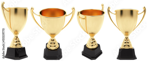 Champion golden trophy