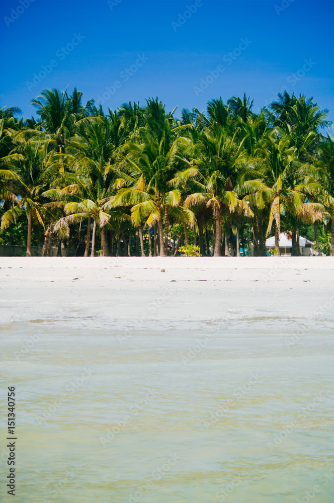 Obraz premium Landscape of paradise tropical island with palms and white sand beach