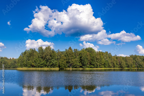 Summer landscape with forest lake