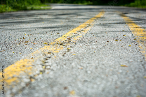 Old Paved Road In the Park