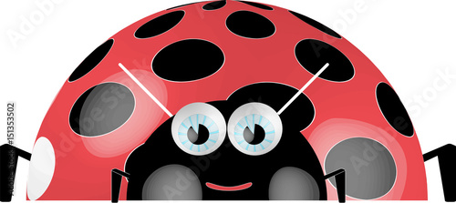 Ladybug