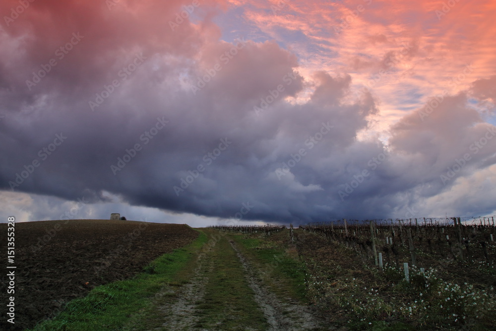 Coucher de soleil sur des champs cultivés dans l'Aude, Occitanie dans le sud de la France Coucher de soleil sur des champs cultivés dans l'Aude, Occitanie dans le sud de la France