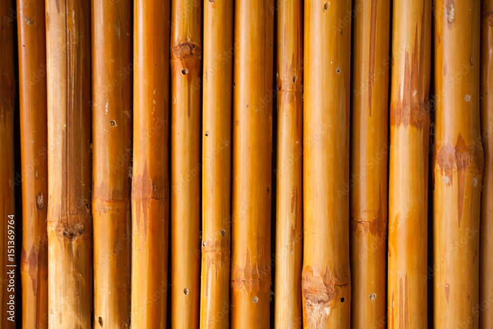 Fototapeta premium bamboo fence or wall texture background for interior or exterior design.