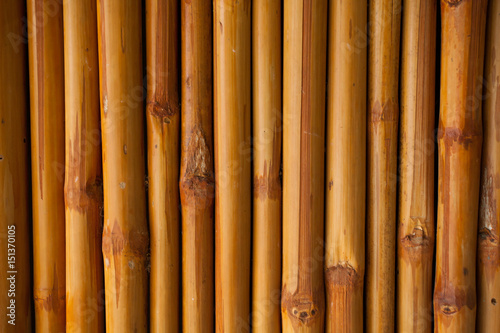 bamboo fence or wall texture background for interior or exterior design.