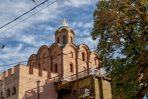Golden Gate Blue Sky Clouds Branch