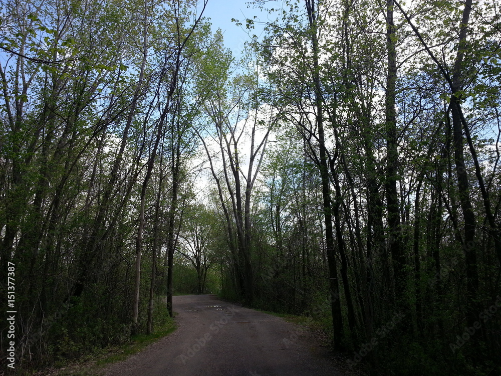 Fototapeta premium paysages