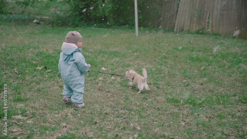 Young mother playing with his son in the park with small dog chihuahua with snowflakes 4k USA Young mother playing with his son in the park with small dog chihuahua with snowflakes 4k USA