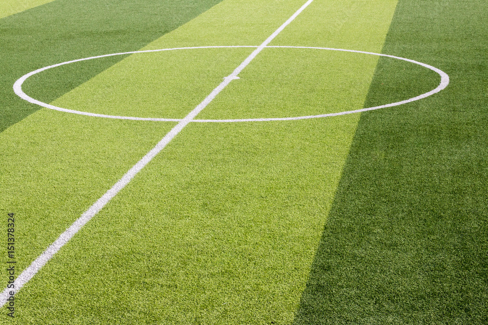 Obraz premium artificial grass football field