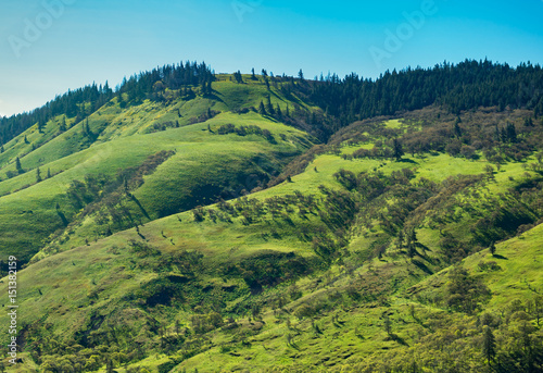 Spring green hillside in Oregon s Columbia River Gorge