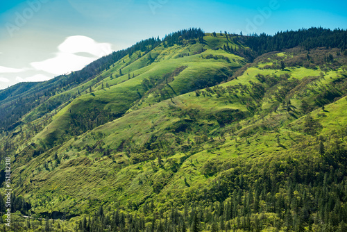 Photography Spring green hillside in Oregon's Columbia River Gorge