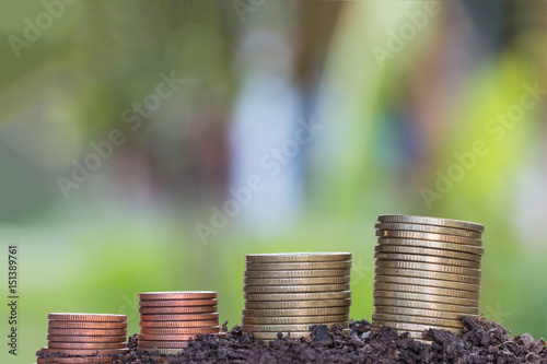 Coin stacking with growing money concept.Business Finance and Money concept