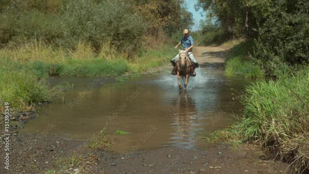 Woman riding horse through creek in slow motion Woman riding horse through creek in slow motion