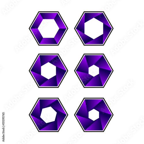 purple hexagon set