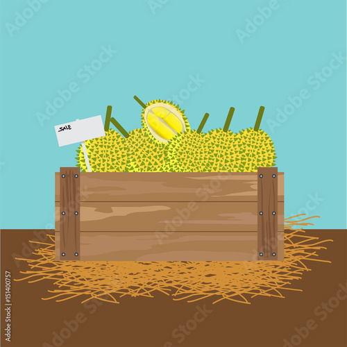 Durian in a wooden crate Vector illustration