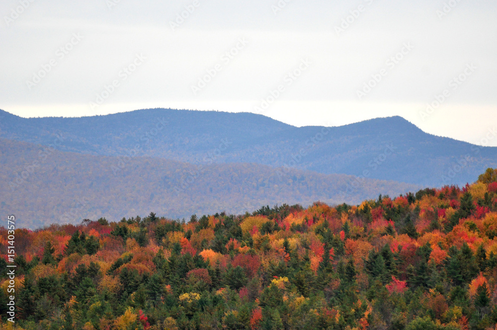 Mountains