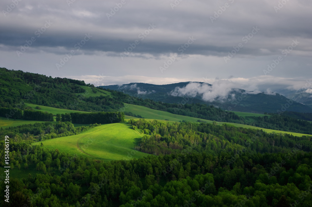 The road through the green meadow among forest in the foothills beneath a cloudy sky with fog.  Altai Mountains, Siberia, Russia.