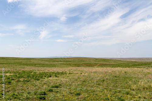 Green steppe in the spring