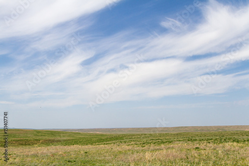 Green steppe on the expanses of Kazakhstan © korvit