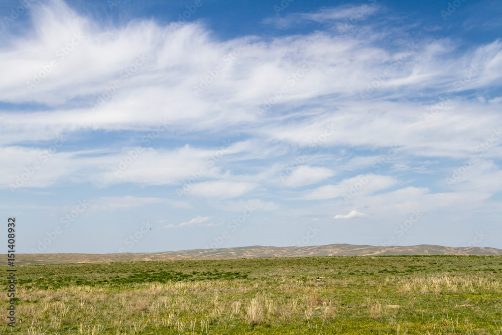 Green steppe in Kazakhstan