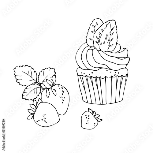 vector contour illustration of strawberry cupcake