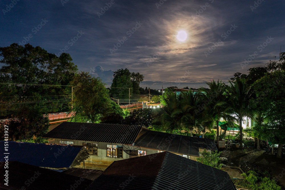 Fototapeta premium night landscape