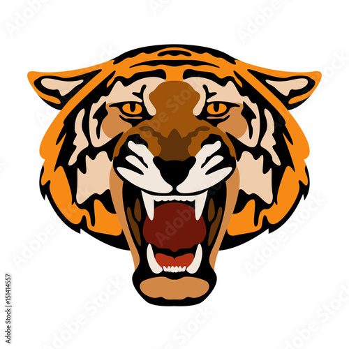 Fototapeta Naklejka Na Ścianę i Meble -  Tiger  head vector illustration style Flat