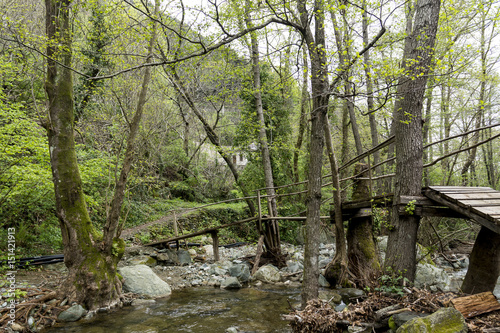 Wooden bridge over a small river in the forest  photographed on The Holy Athos Mountain  Greece  spring day