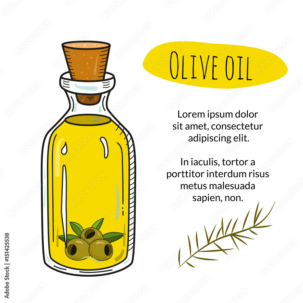 Colorful hand drawn olive oil bottle with sample text. Isolated cute vial  with healthy cooking oil and olives. Sketchy cartoon illustration for  restaurant, organic shop banner, flyer, coupon. Stock Vector | Adobe