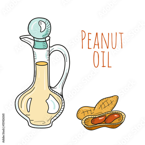Colorful hand drawn peanut oil bottle. Isolated cute decanter with healthy cooking oil and peanut. Sketchy cartoon illustration for aroma therapy, cosmetic, organic shop. Glass jug.