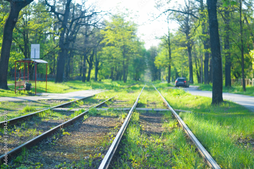 Fototapeta premium Blured tram tracks in green dense forest 