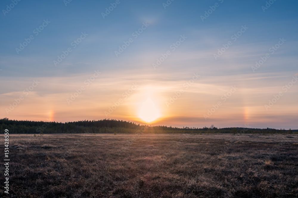Fototapeta premium Nice halo light with sunset at spring evening in swamp Finland