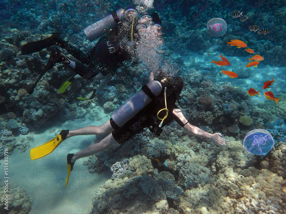 Naklejka premium Divers swims through tropical fish on coral reef