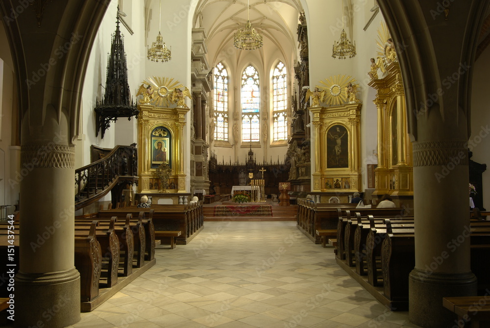 Fototapeta premium Tarnów, Katedra Narodzenia NMP.