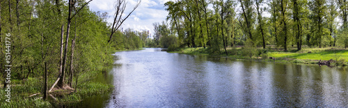 An old creek of Vistula river.