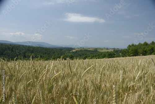 Wisnicko-Lipnicki Park Krajobrazowy.