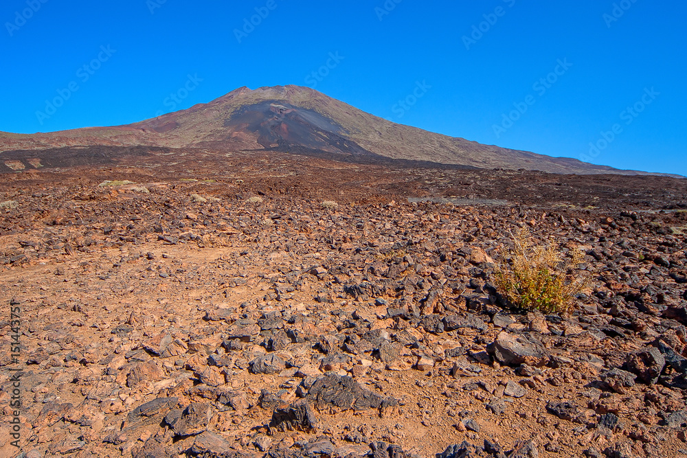 El Taide volcanic foothills