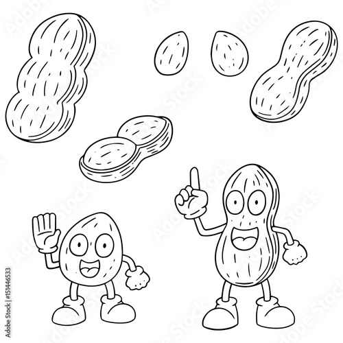 vector set of peanut