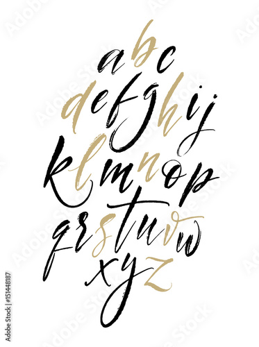 Brush Letters. Handwritten Script Alphabet. Hand Lettering and Custom Typography for Design. Vector Illustrations