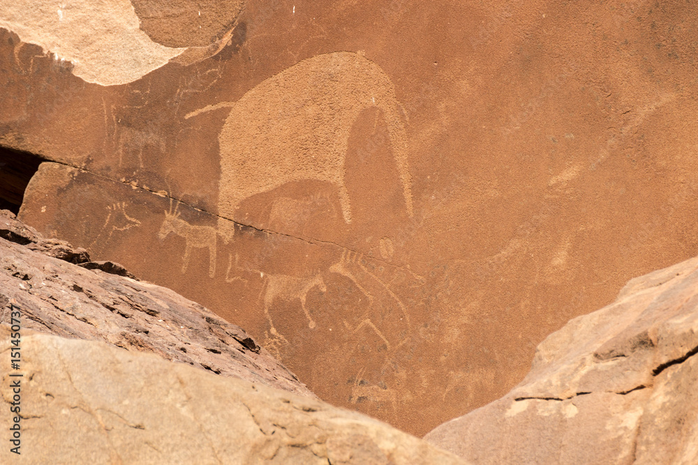 Fototapeta premium Bushman engravings in the granite rock, Twyfelfontein UNESCO World Heritage Site, Kunene Region, Damaraland, Namibia