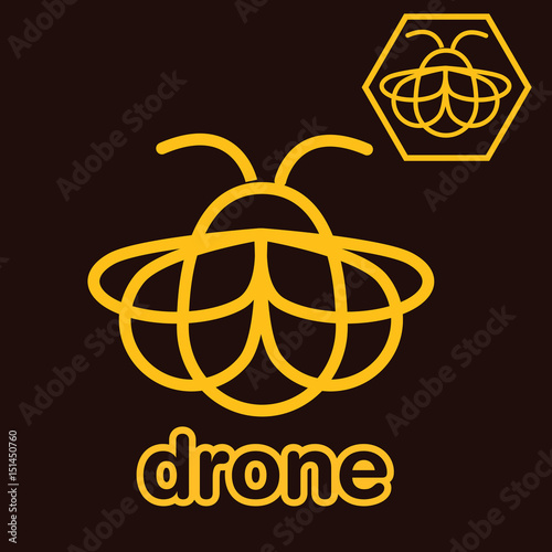 bee drone concept 