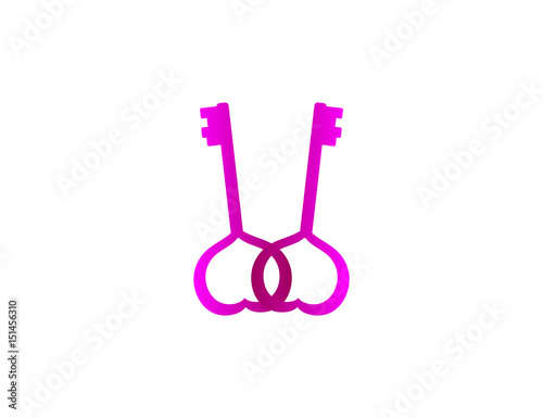 Flat vector love key lock sign