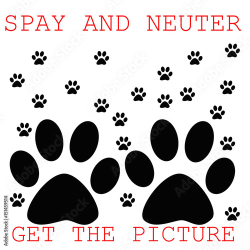 spay and neuter poster paw prints on white illustration