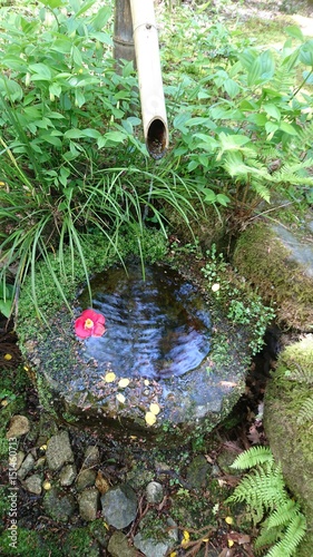 京都大原三千院