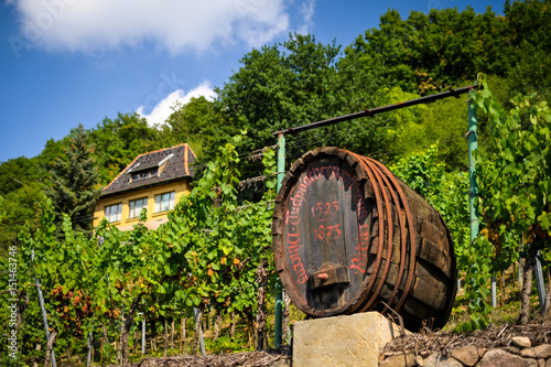 Weinfaß Weingut 