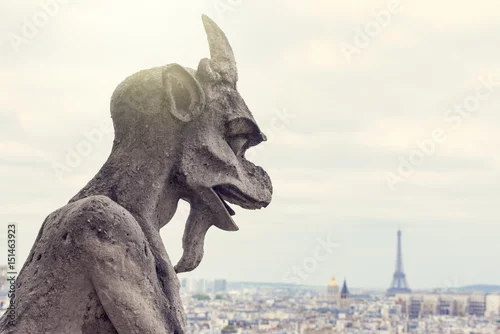 Obraz Chimera katedry Notre-Dame