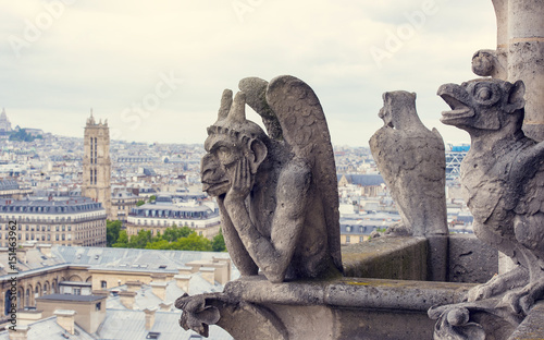 Canvas Print Notre-Dame Cathedral's Chimera