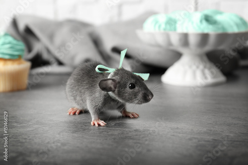 Cute little rat with bow on grey table at home
