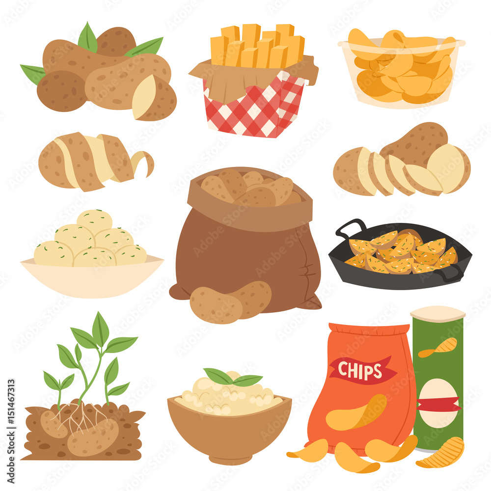 Vector illustration vegetable potato products sliced ripe food boiled stewed steamed fries raw meal