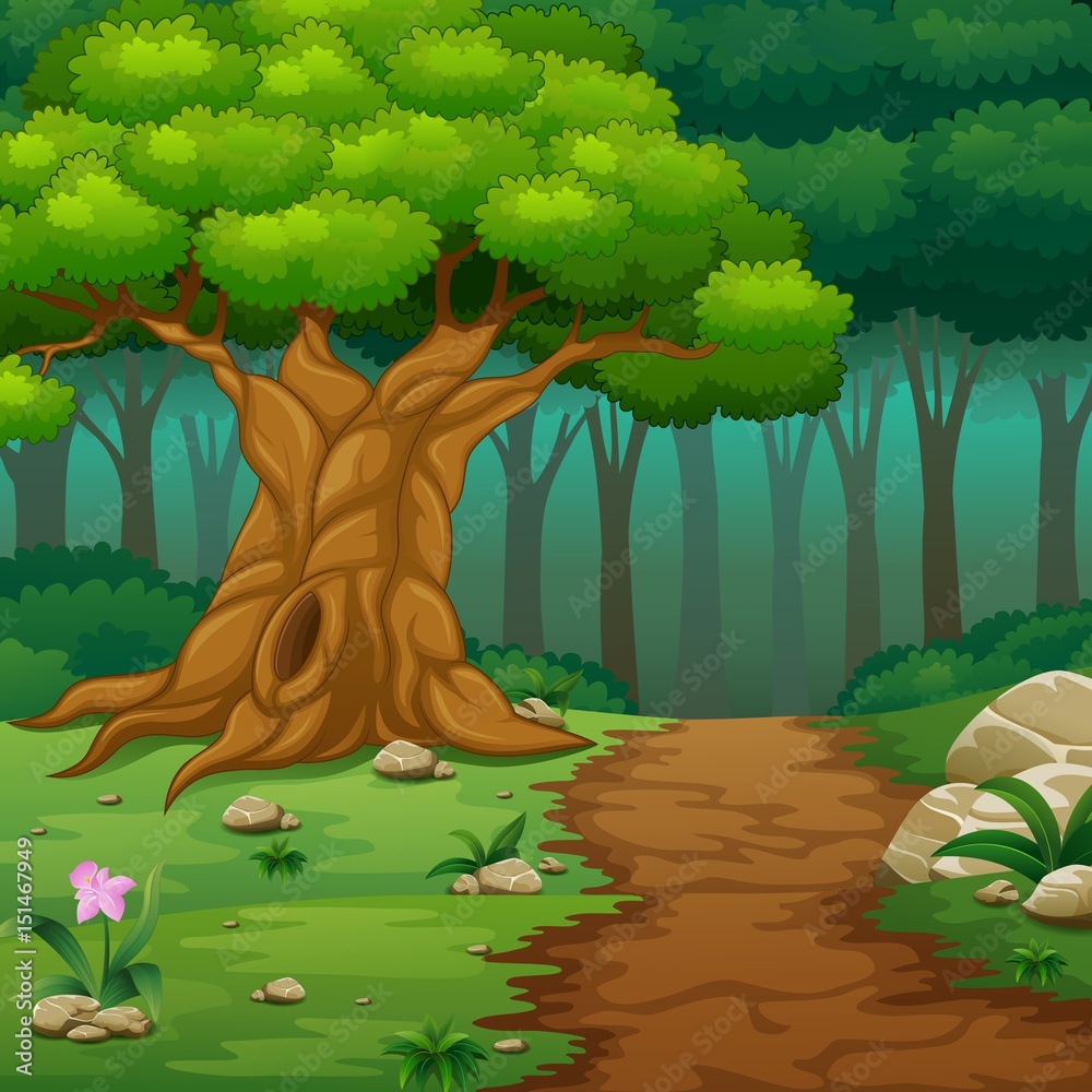 Obraz premium Forest background with dirt road