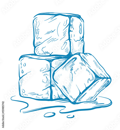 vector sketch of ice cubes photo